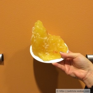one_pound_fat_wm