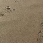 How To Make Two Steps To Guard Ourselves For Amazing Positivity