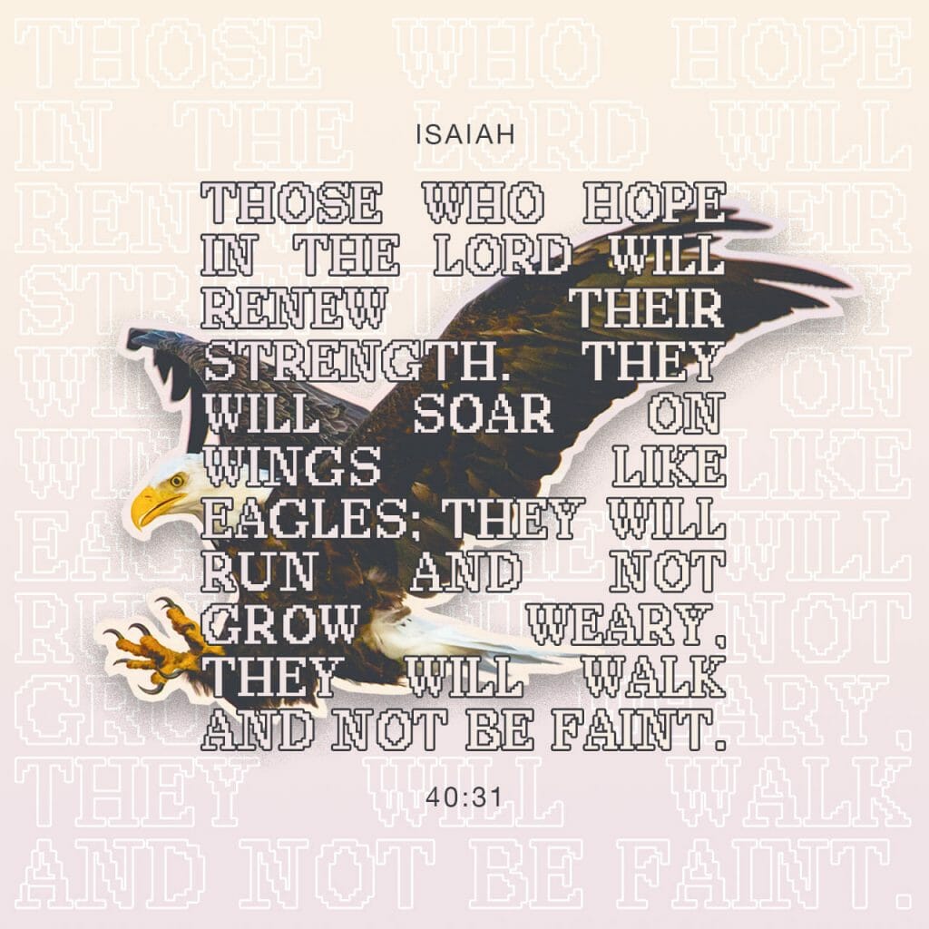 widows faith or fear isaiah 40 31